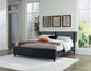 Danziar King Panel Bed with Mirrored Dresser and Chest